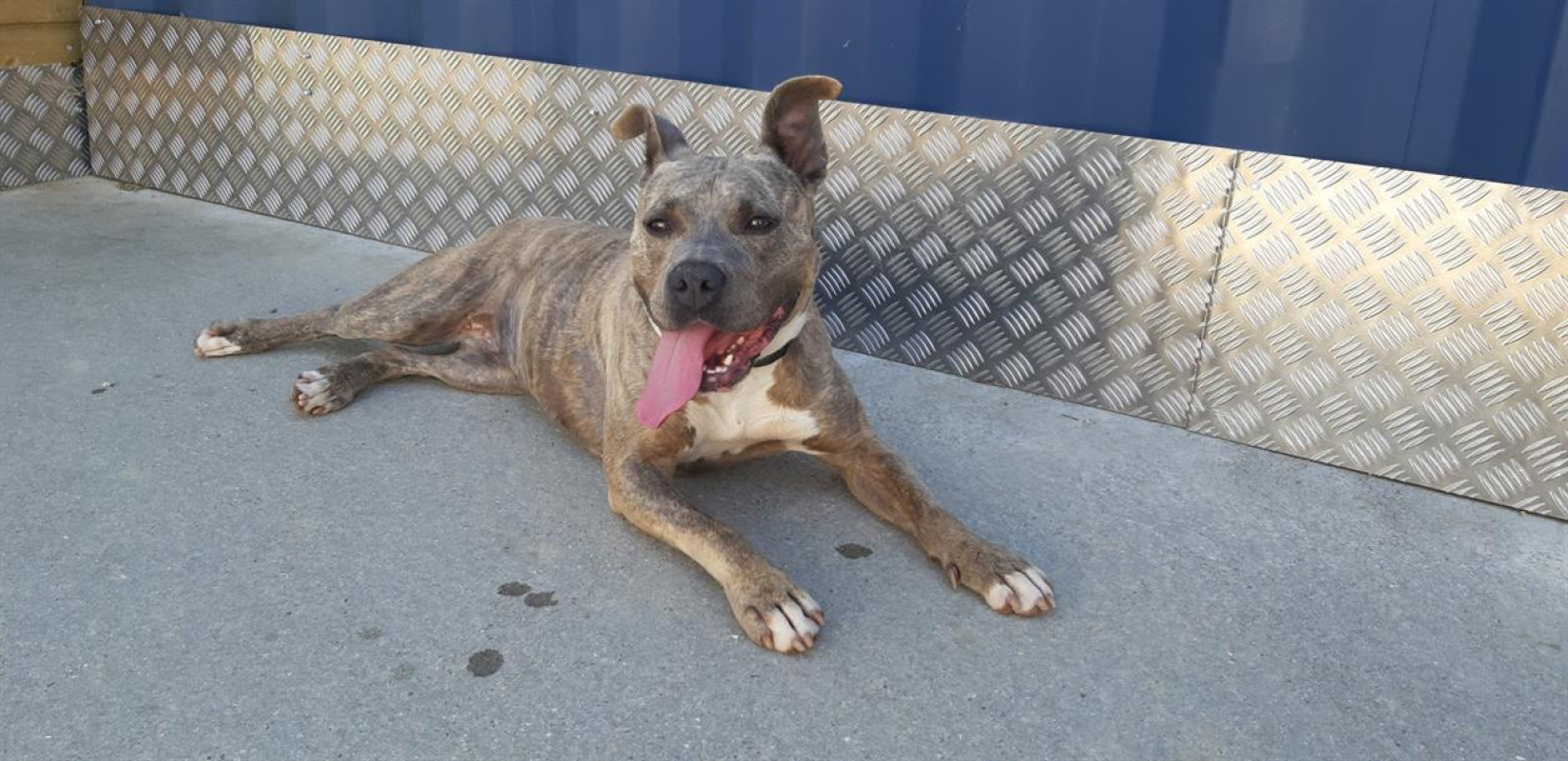 Photo #1 de Mademoiselle