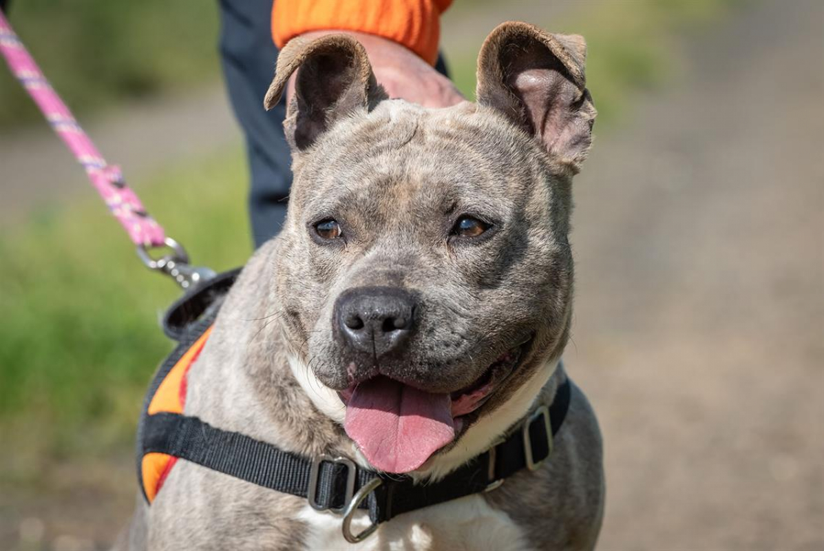 Photo #5 de Mademoiselle