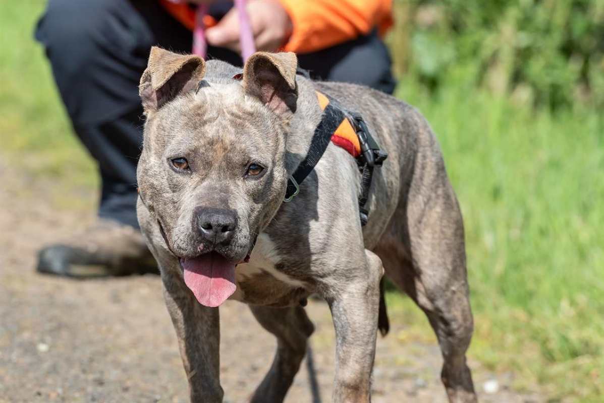 Photo #7 de Mademoiselle