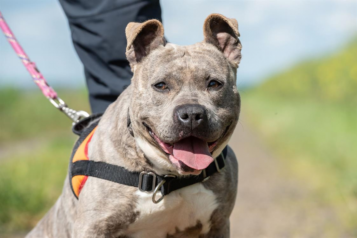 Photo #4 de Mademoiselle