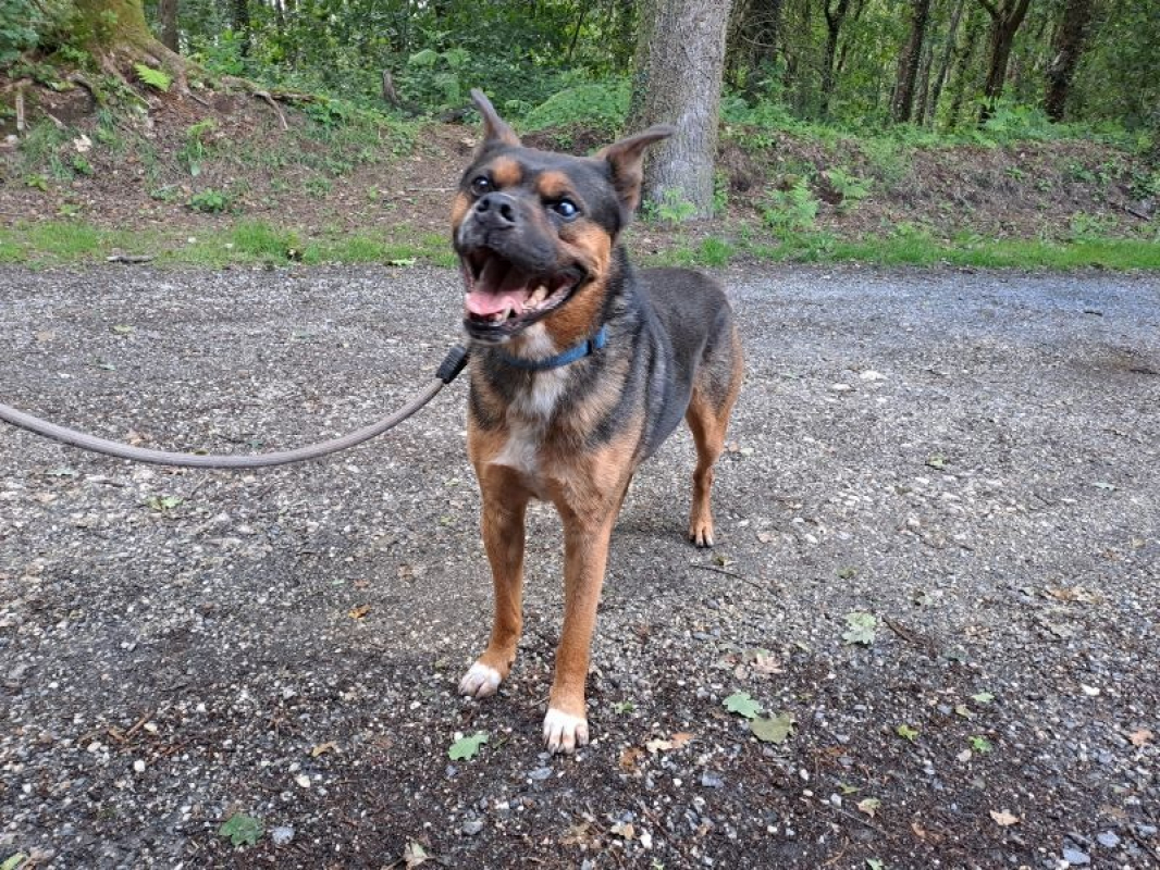 Photo #4 de Cyrius