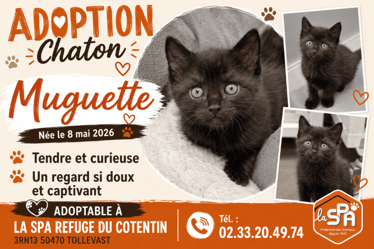 Photo de Muguette
