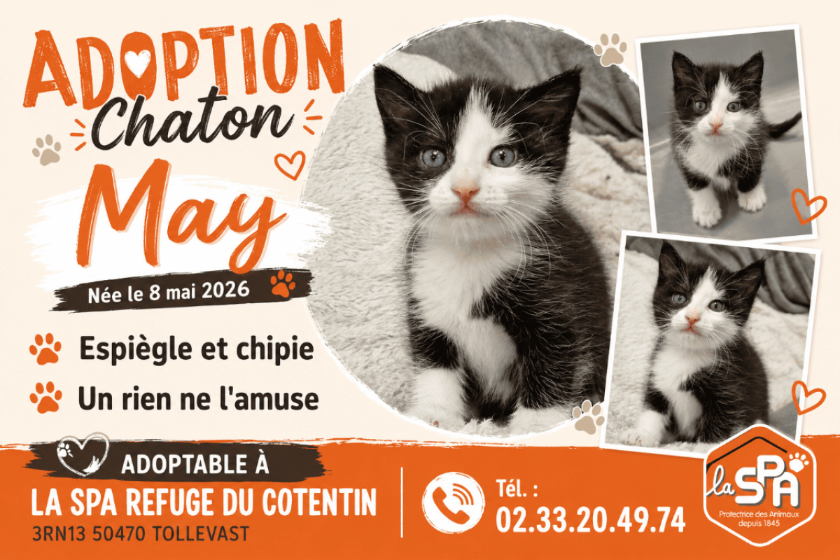 Photo de May