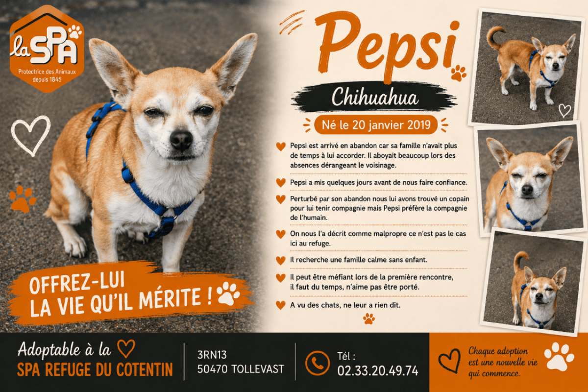 Photo de Pepsi