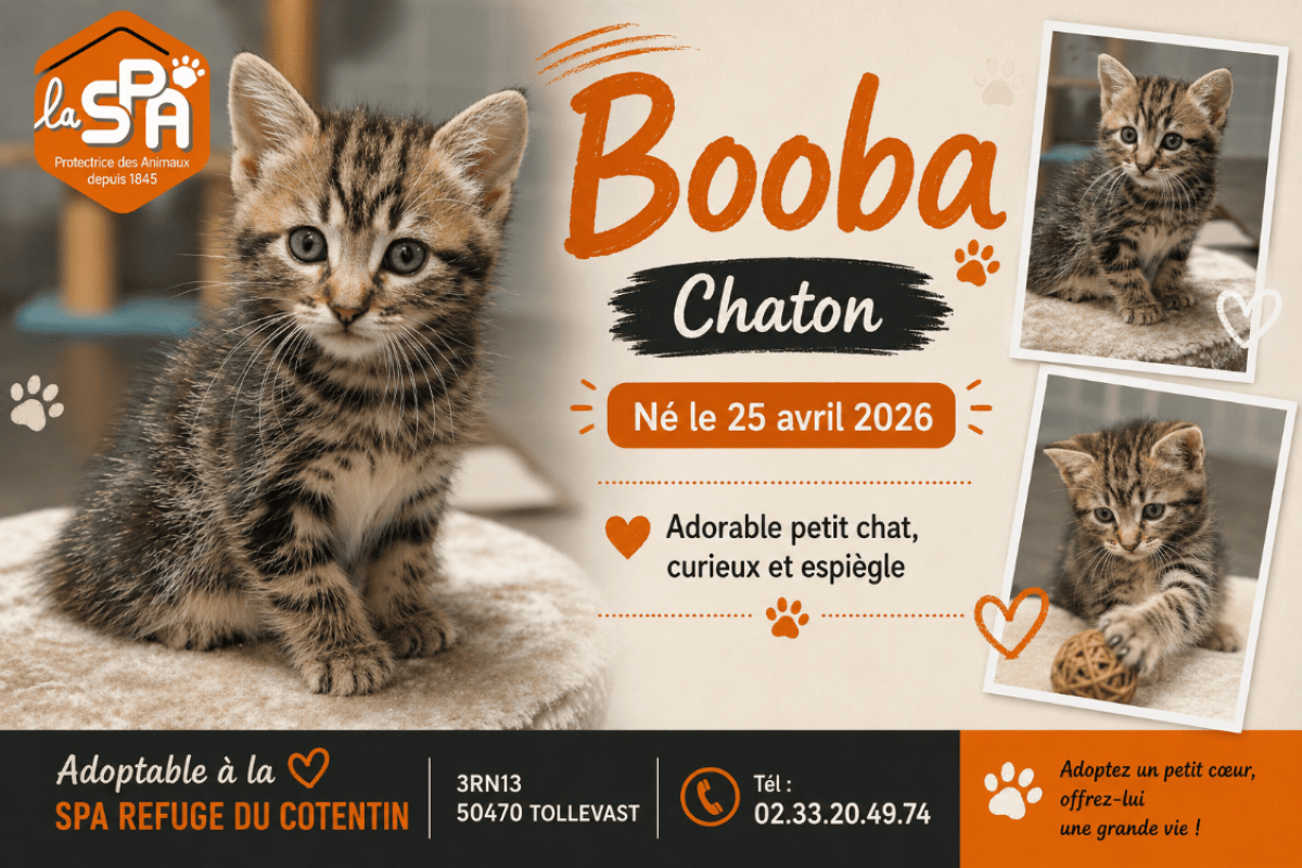 Photo de Booba réservé