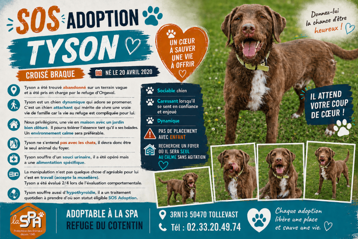 Photo de Tyson