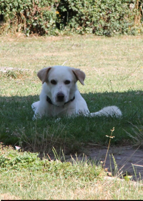 Photo #5 de LÉO