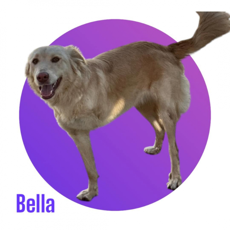 Photo #1 de BELLA