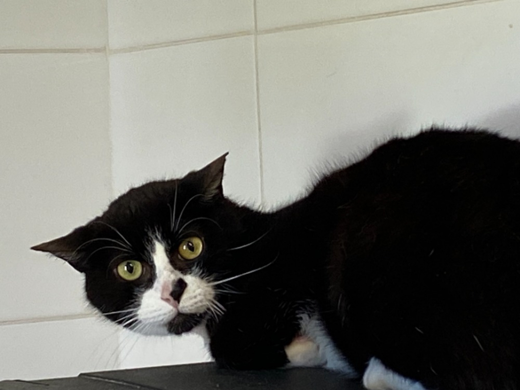 Photo de Coco