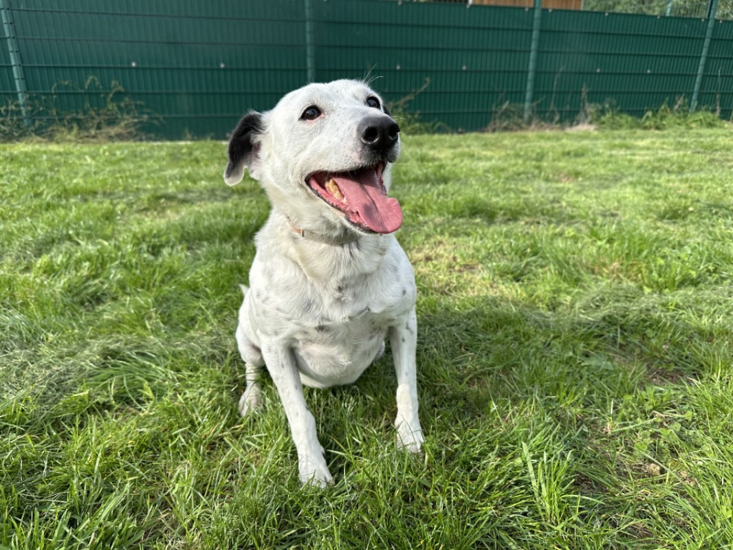 Photo #6 de Popeye p