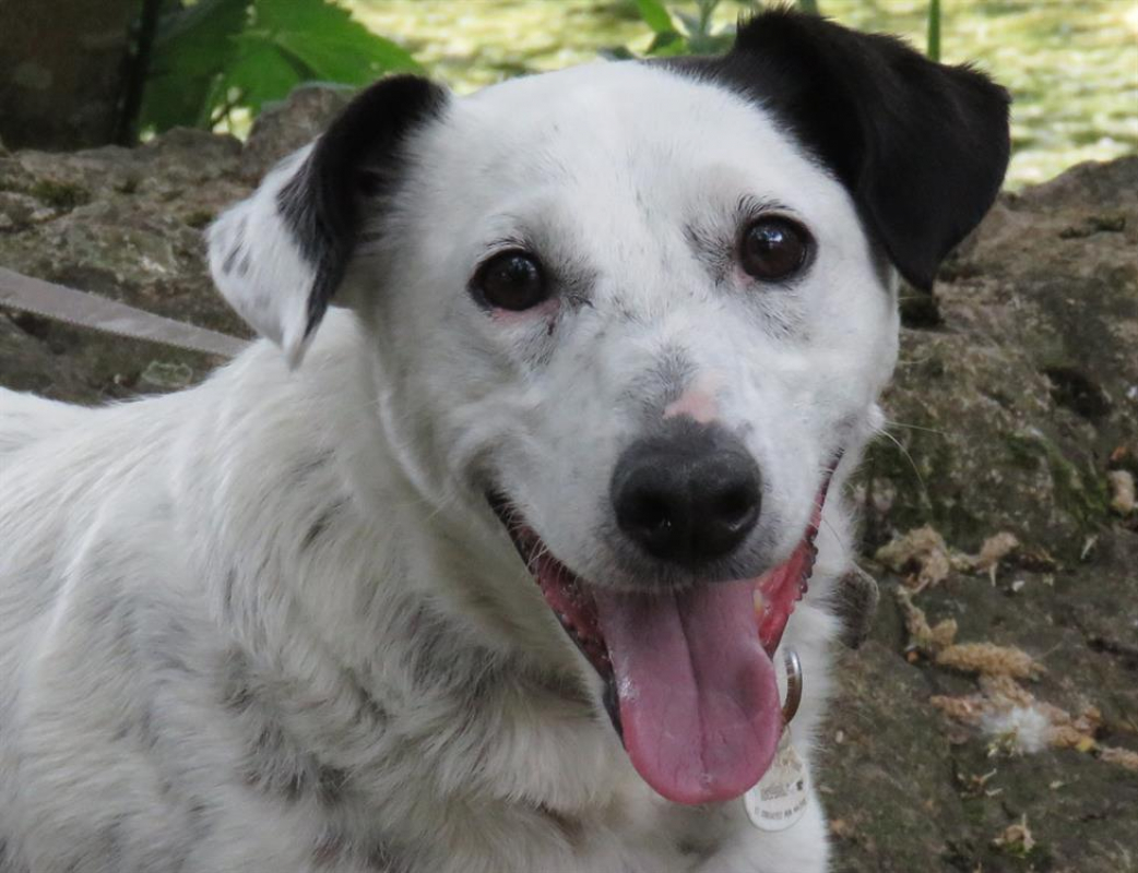 Photo #5 de Popeye p