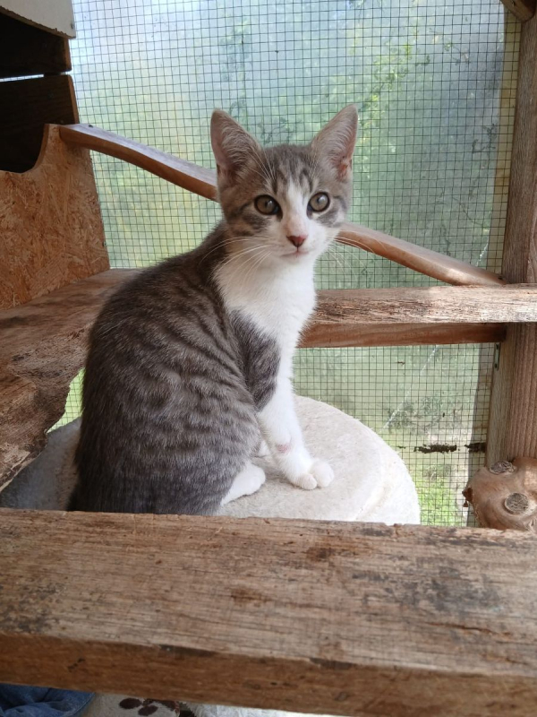Photo de Bambino