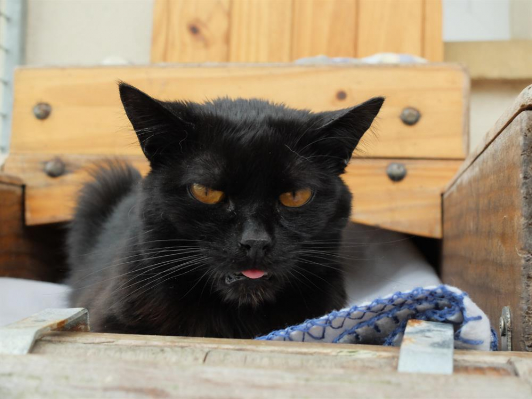 Photo #3 de Elsa qct