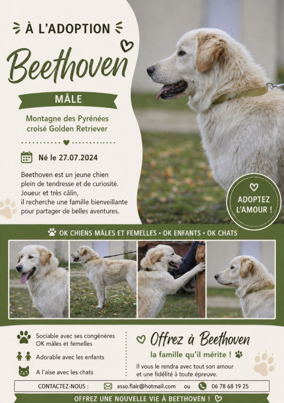 Photo de Beethoven