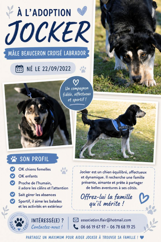 Photo de Joker
