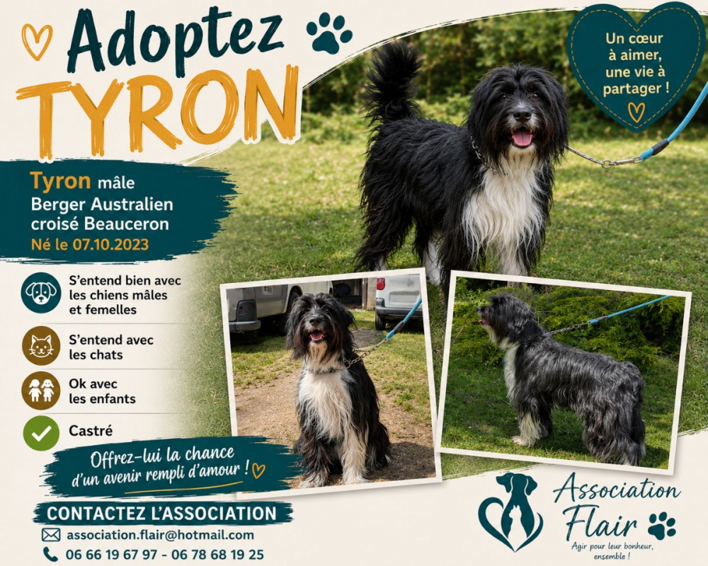 Photo de Tyron