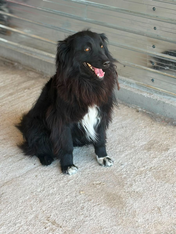 Photo #4 de LUNNA