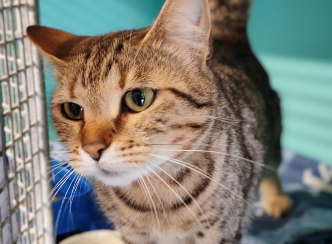 Photo de Aloha