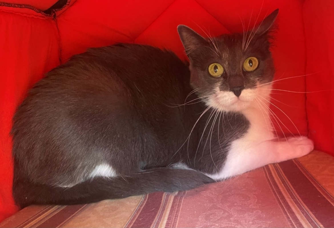 Photo de Suzi