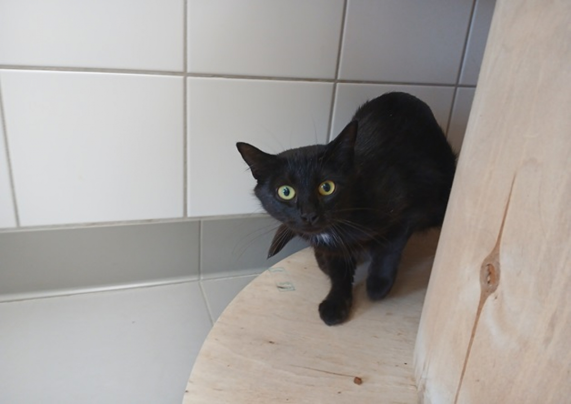 Photo de Melinda qct