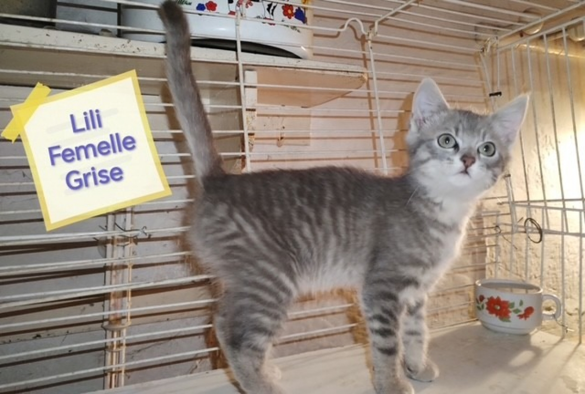 Photo de Lili