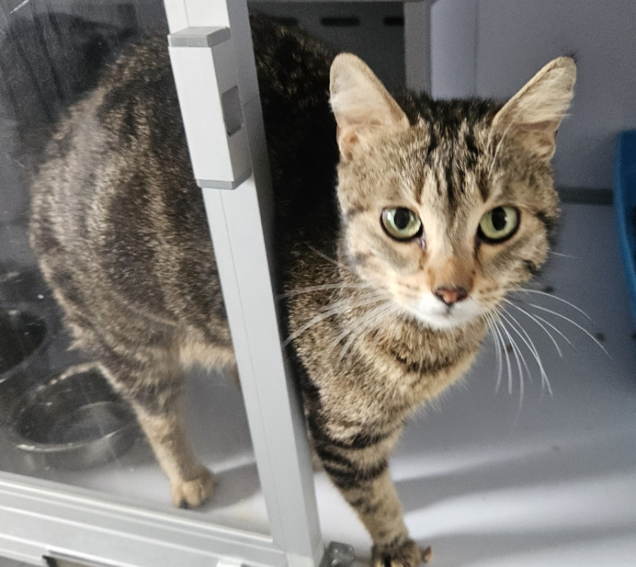 Photo de Calypso