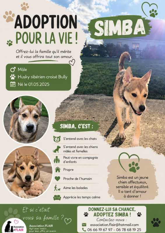 Photo de Simba 