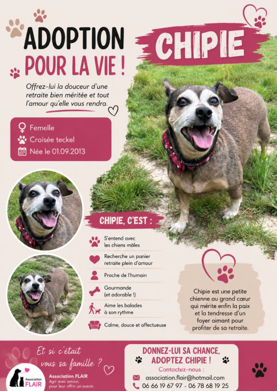 Photo de Chipie 
