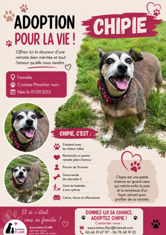 Photo de Chipie 