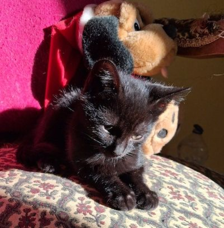 Photo de MYSTIC