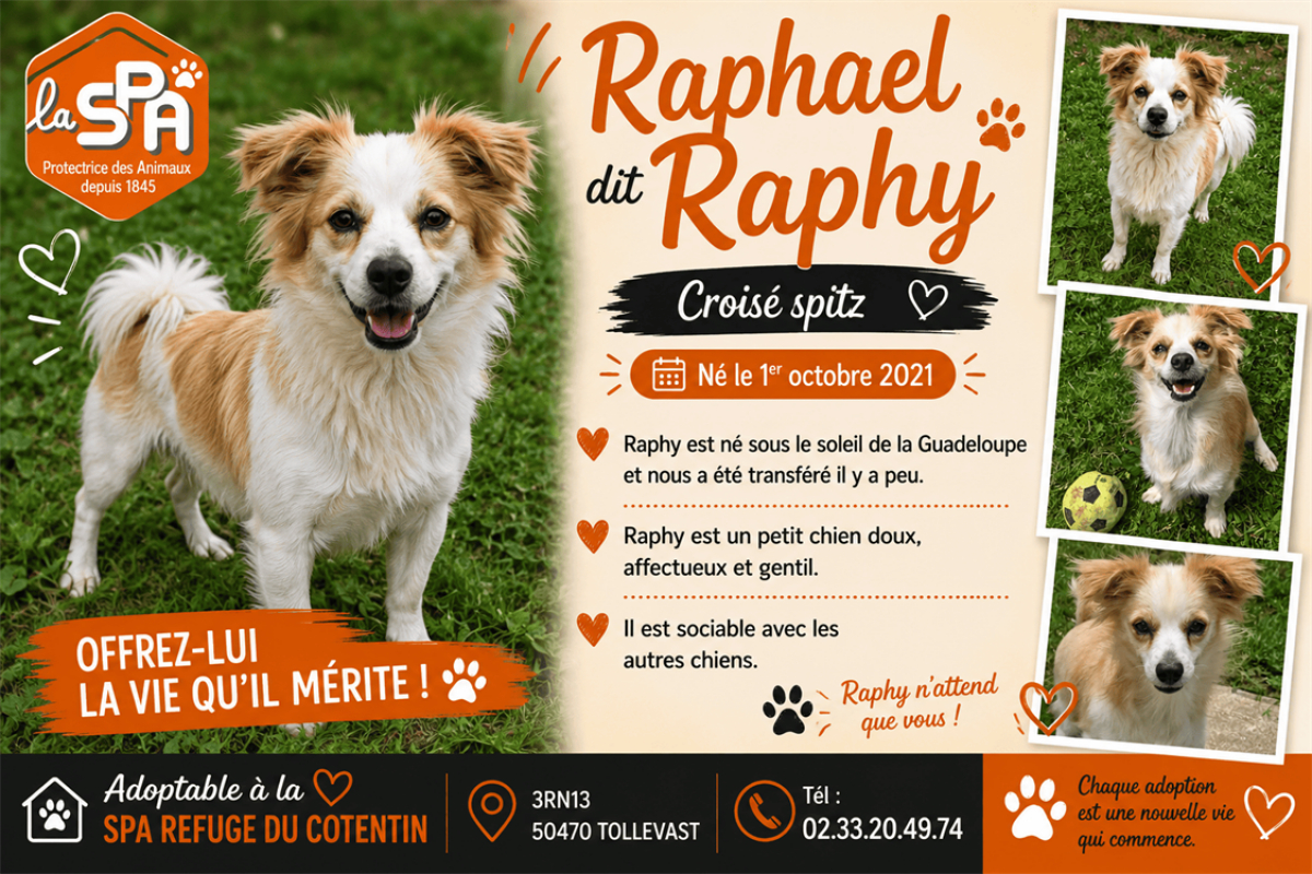 Photo de Raphael