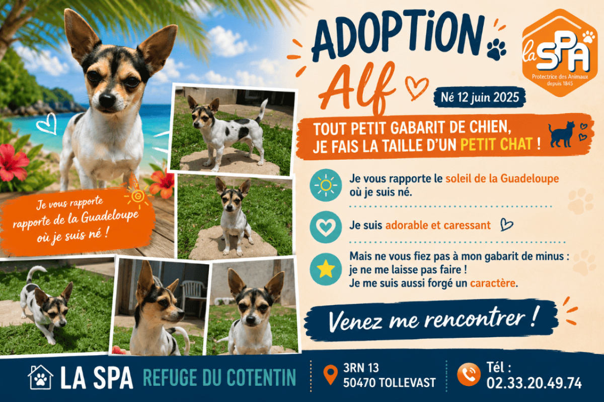 Photo de Alf