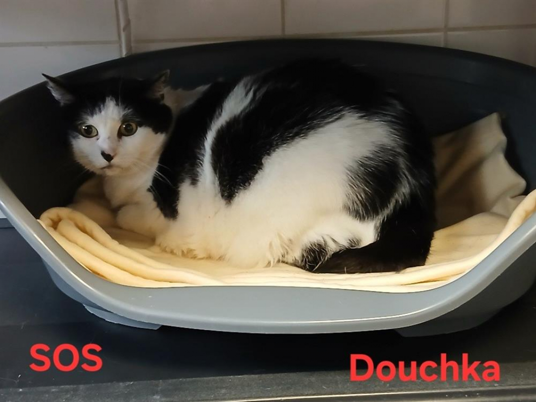 Photo de Douchka