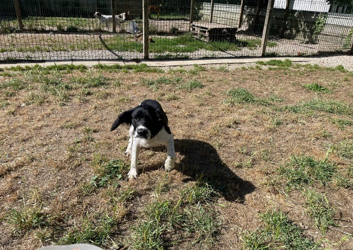 Photo #1 de Zephyr