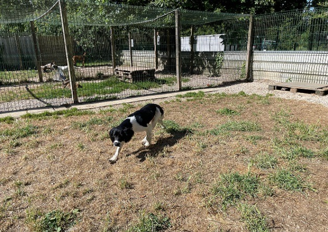 Photo #2 de Zephyr