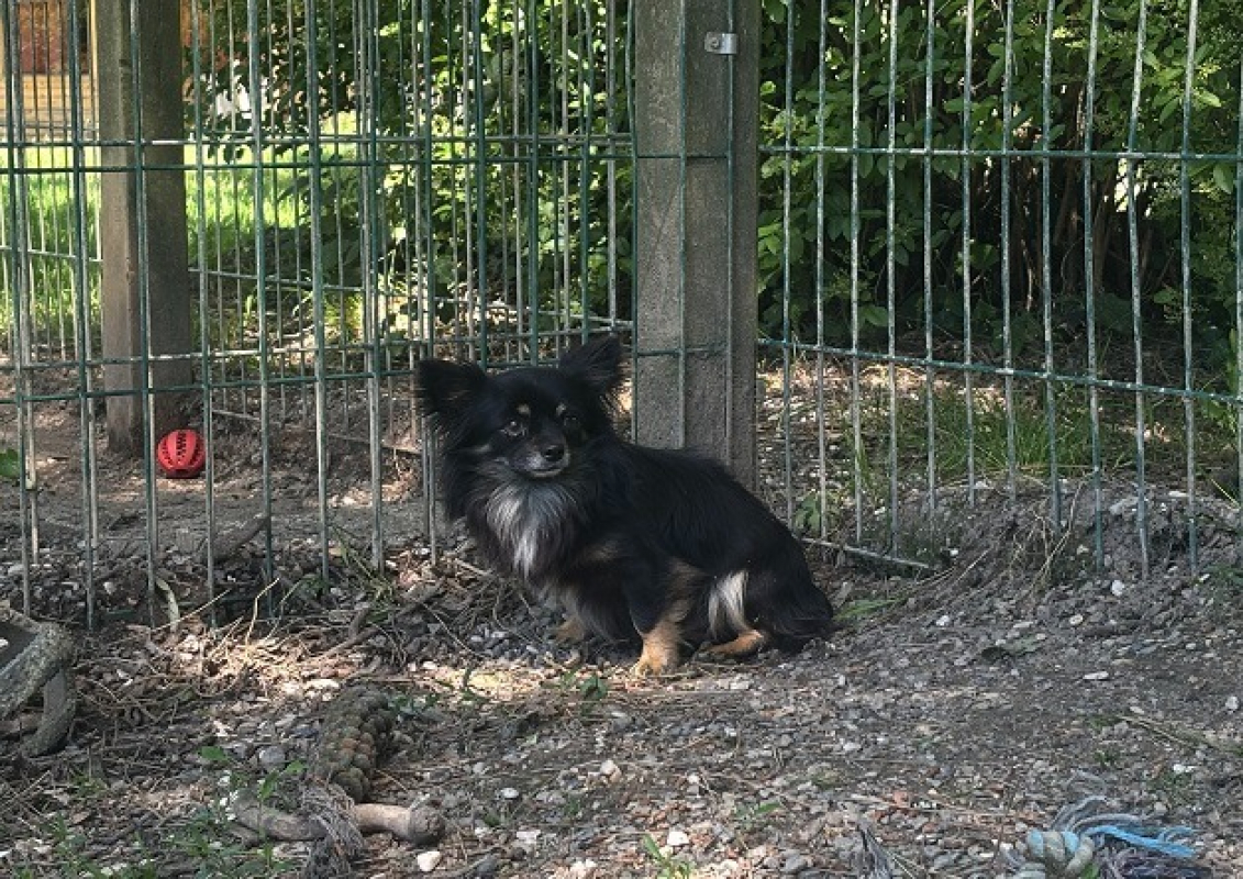 Photo de Viny