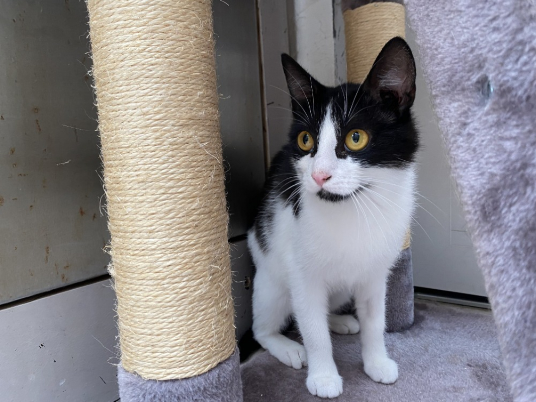 Photo de Lala