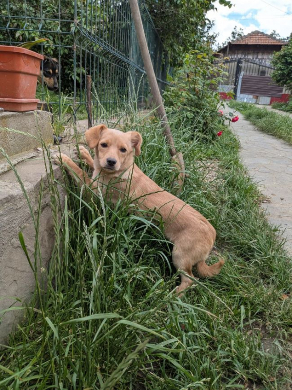 Photo #3 de Thelma