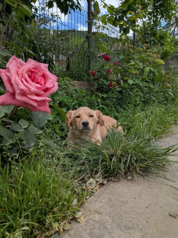 Photo #4 de Thelma