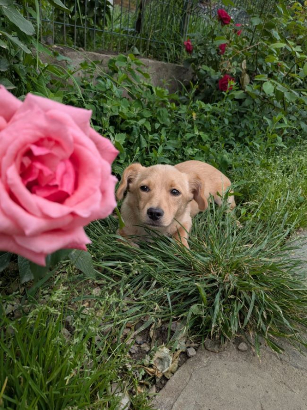 Photo #5 de Thelma