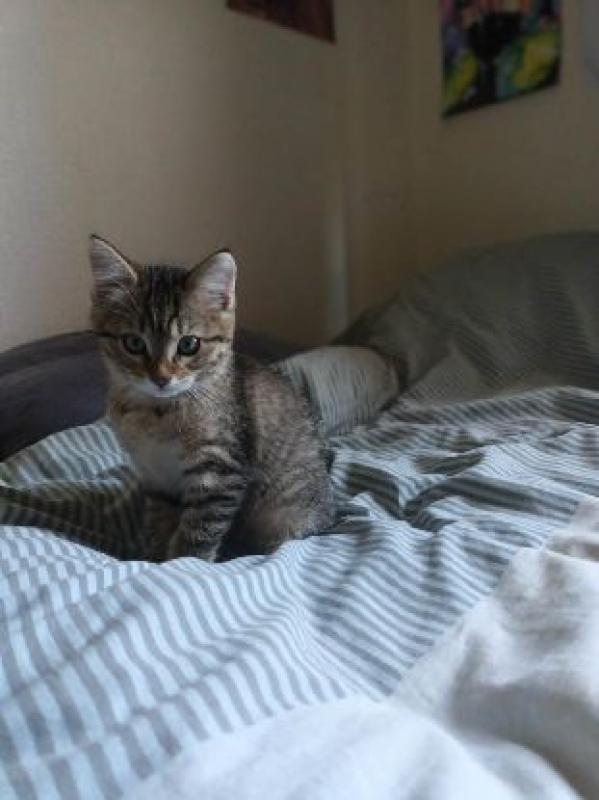 Photo #2 de LEELEEN