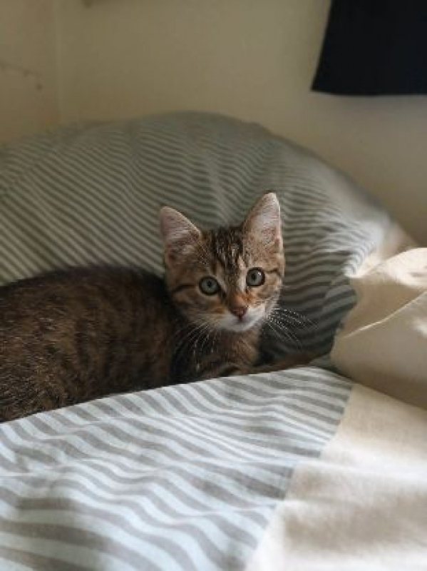 Photo #1 de LEELEEN