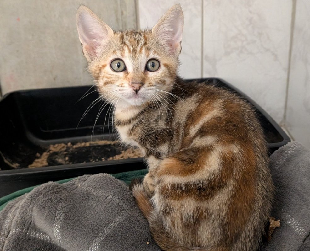Photo de Minski