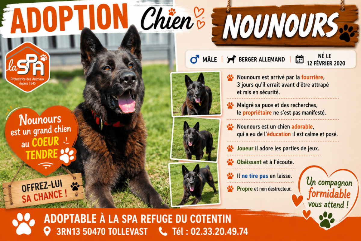 Photo de Nounours