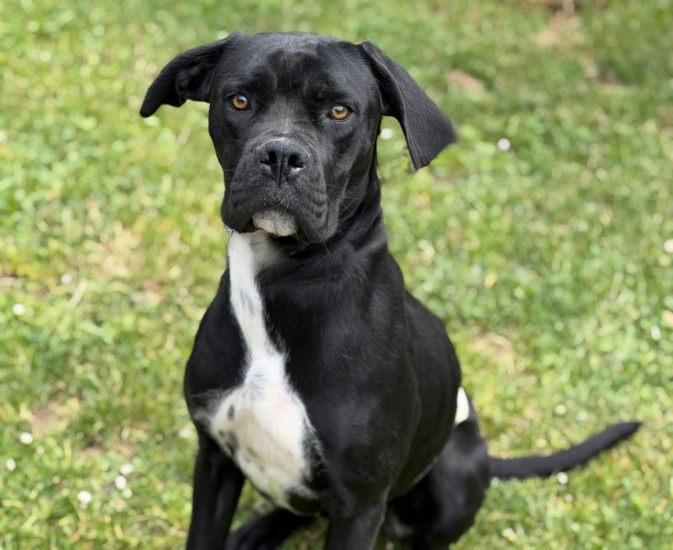 Photo de Zora