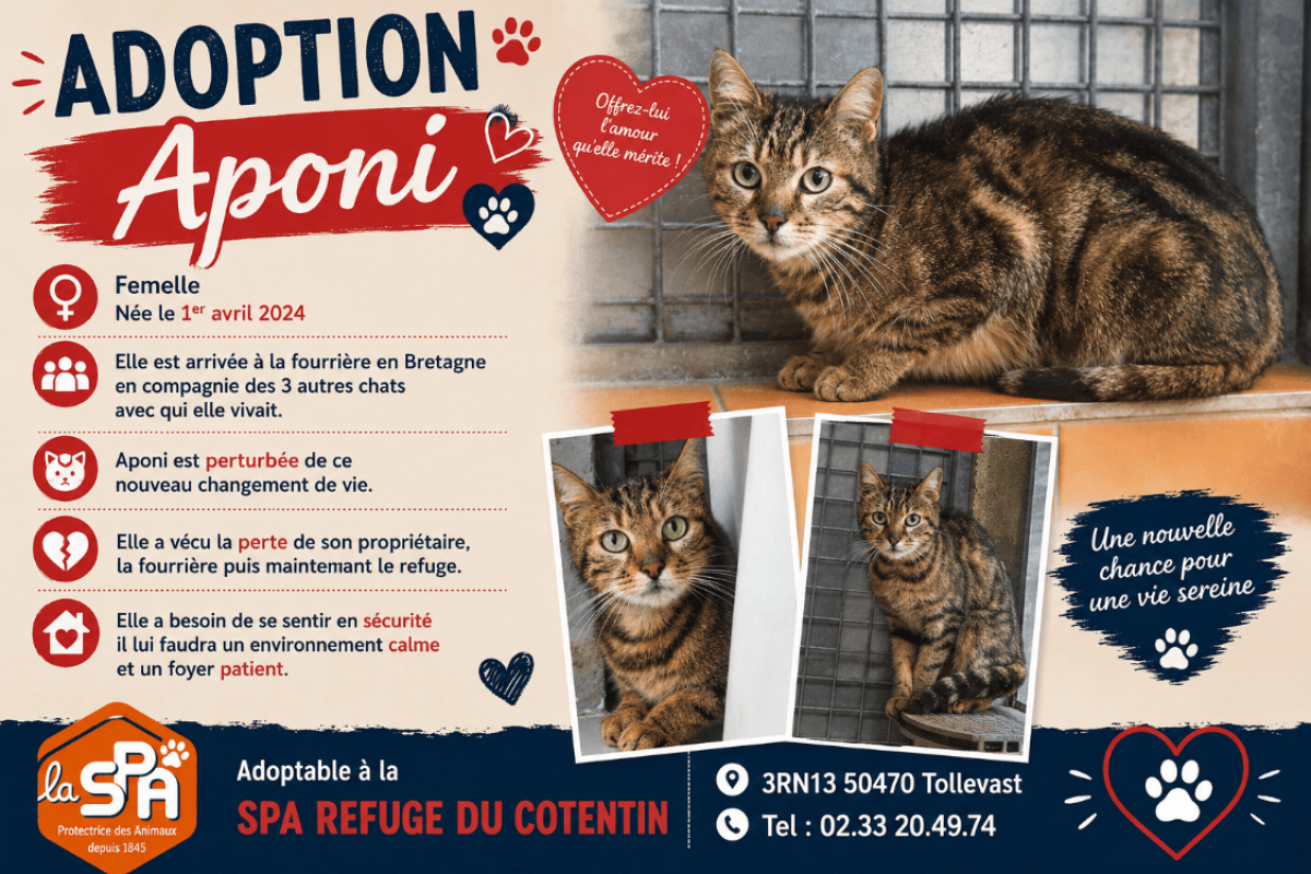 Photo de Aponi