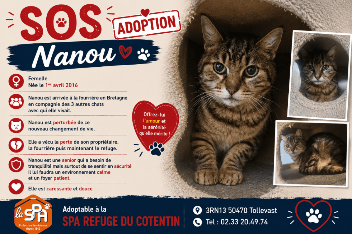 Photo de Nanou