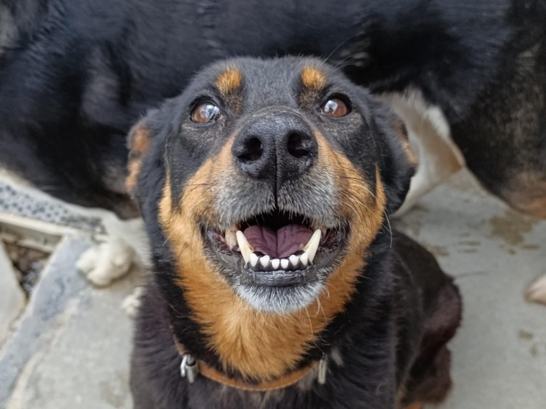 Photo #2 de Connie