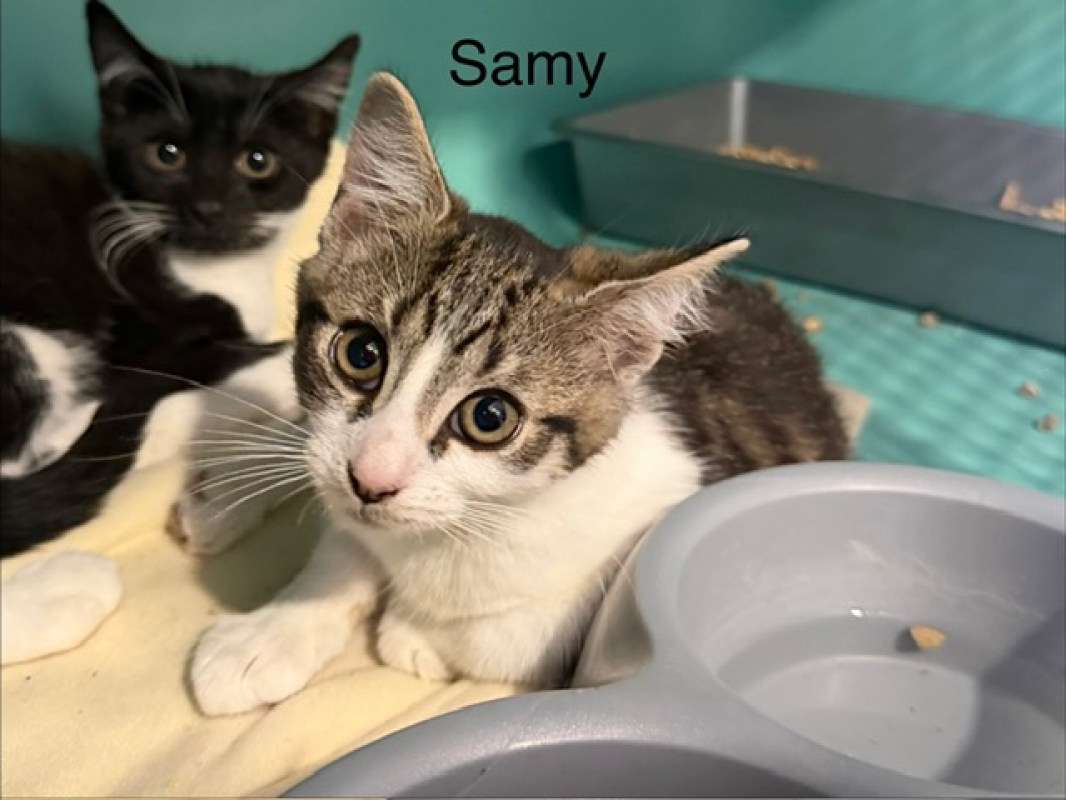 Photo de Samy