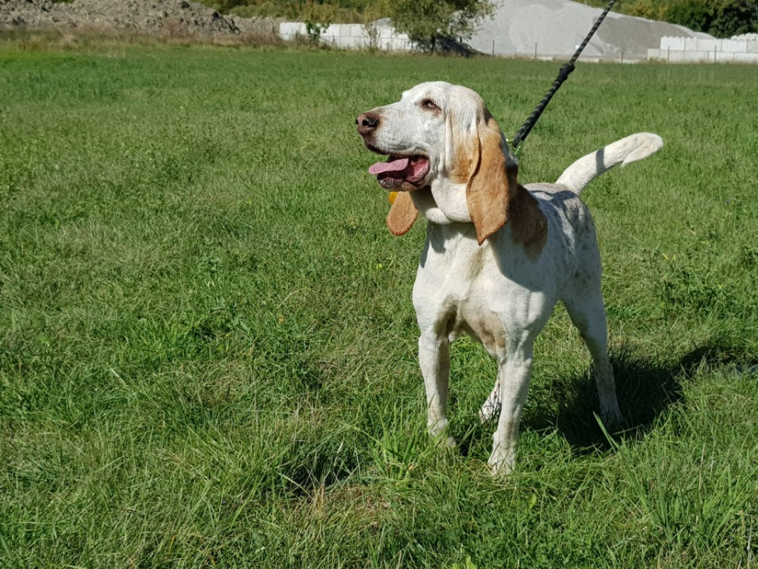 Photo #1 de Kandy cnne